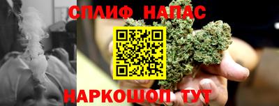 PSILOCYBIN Бийск