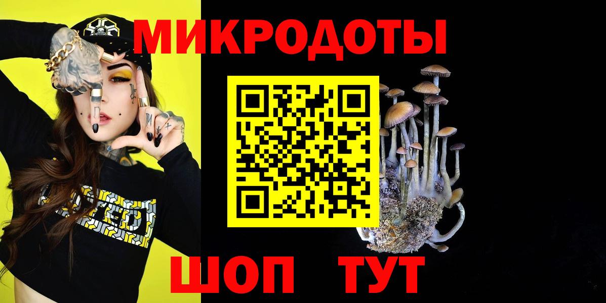Грозный  наркота  Вход с VPN  Галлюциногенные грибы Psilocybine cubensis  Псилоцибиновые грибы Magic Shrooms 